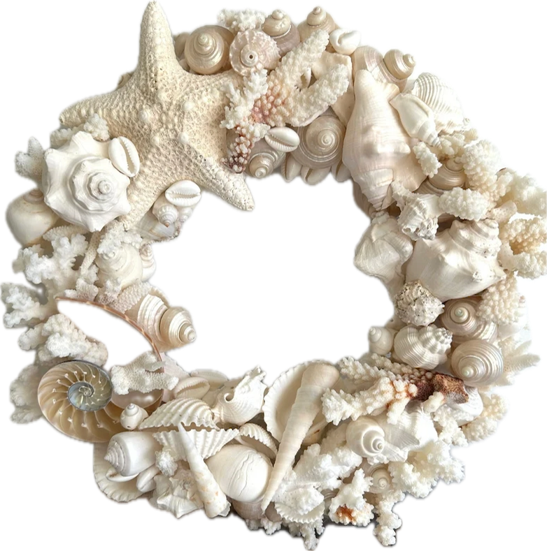 Coastal Shell Wreath