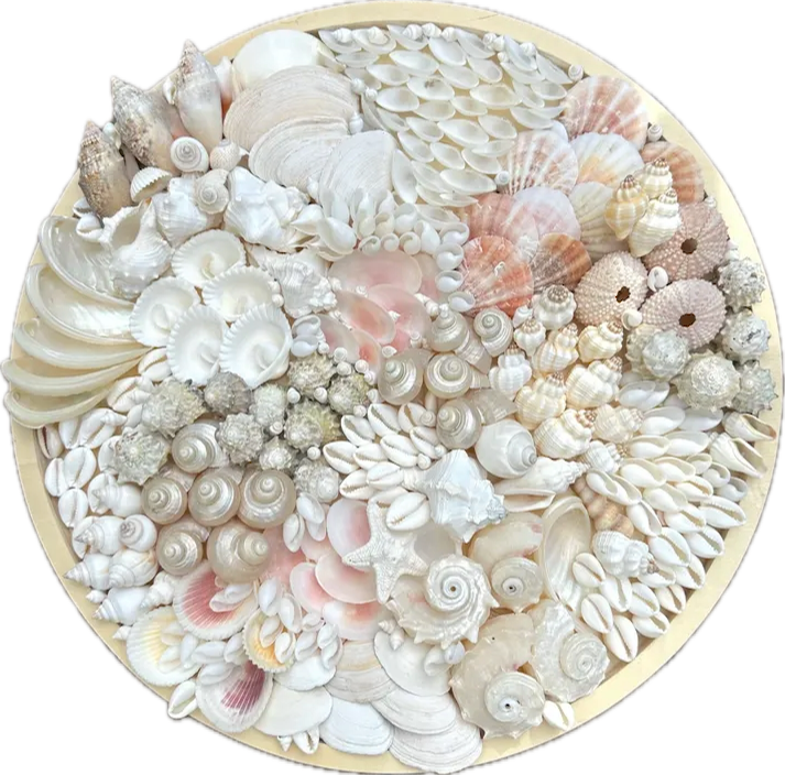 Coastal Shell Serving Tray